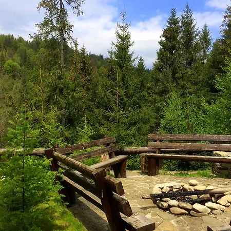 Guest house Alpiyka Slavske