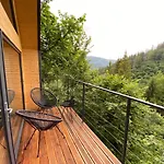 Guest house Alpiyka
