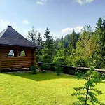Guest house Alpiyka Slavske