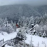 Guest house Alpiyka